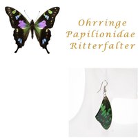 Papilionidae / Ritterfalter
