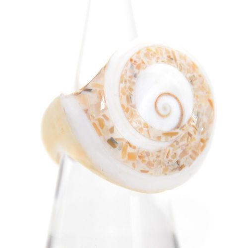 Conical snail ring orang /white eye