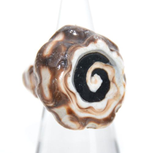 Conical snail ring brown/black/white eye