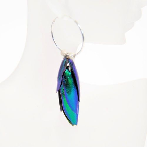 Earrings Emerald Beetle, 925 Sterling Silver Loop 6 Wings Blue
