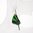 Earrings Graphium Weiskei, Green Black
