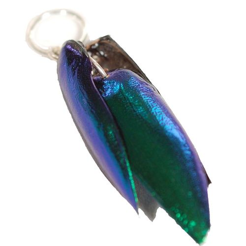 Pendant emerald beetle 4Wing 925 sterling ring