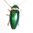 Pendant Emerald beetle "Baghy" with zirconia