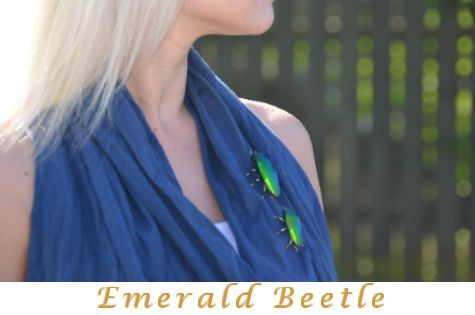 Emerald beetle jewelry
